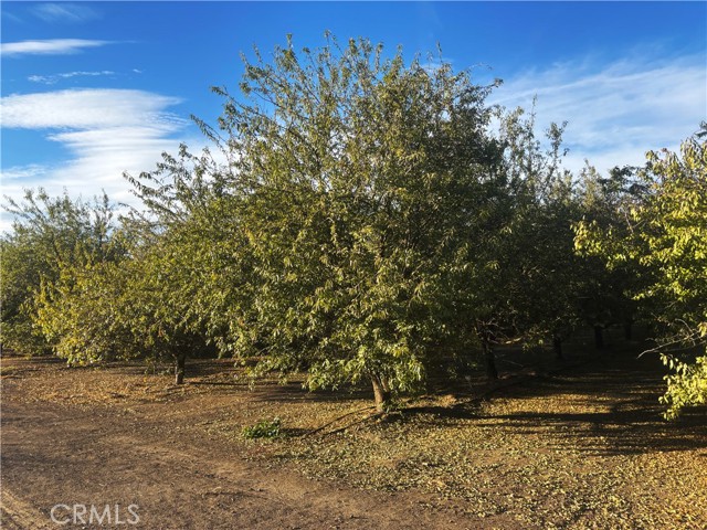 Detail Gallery Image 8 of 10 For 38 Acre Lot North & Marks, Fresno,  CA 93706 - – Beds | – Baths