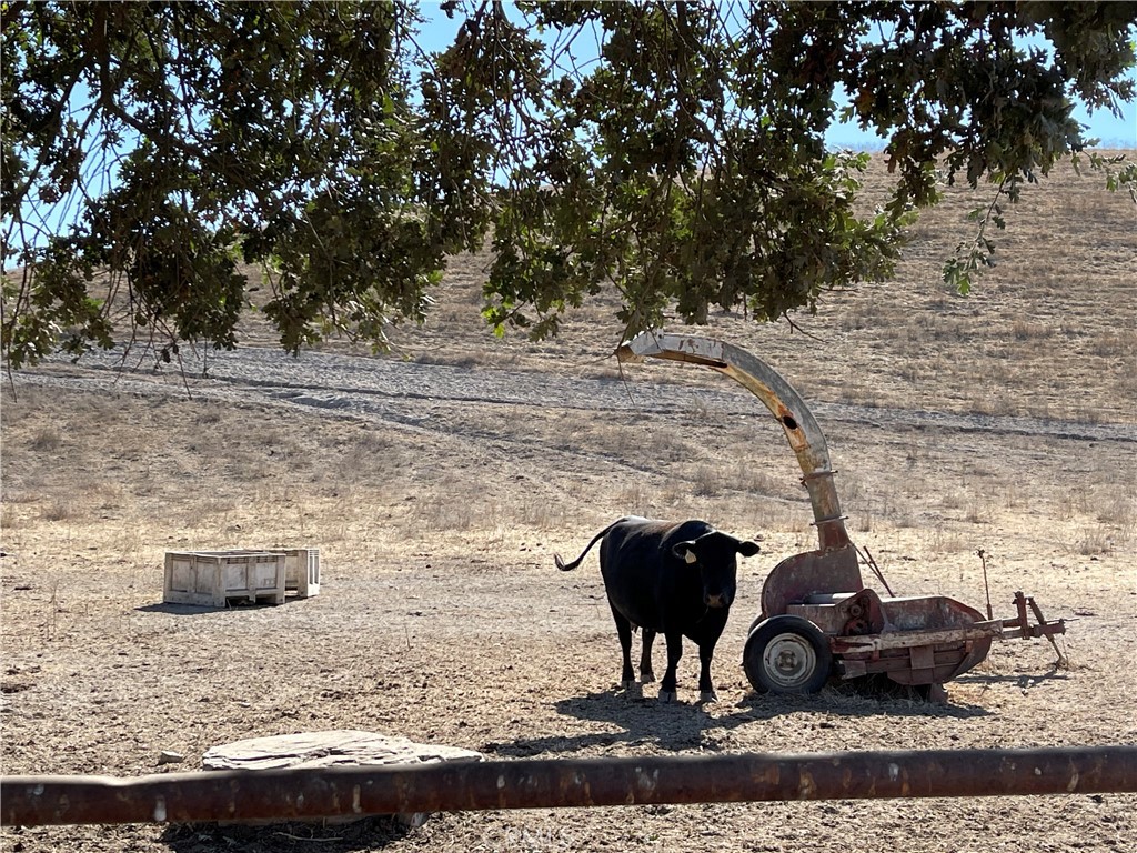 MLS #SC25266385 image #5