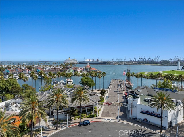 Shoreline & Pier