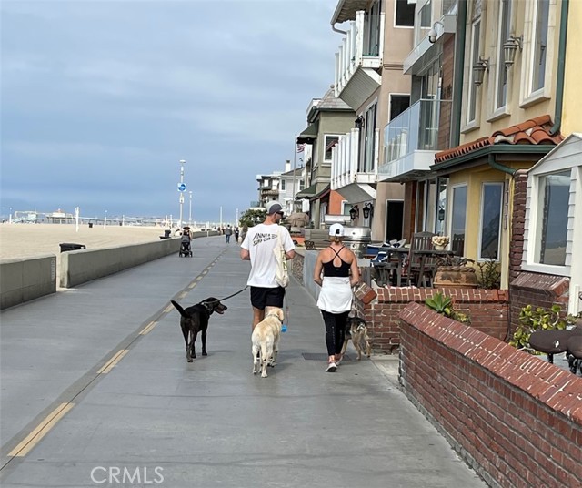 The world Famous Strand is walking distance. Take your dog for a walk, meet your neighbors, go bike riding, or skateboarding.