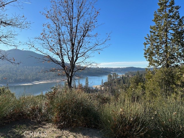 Detail Gallery Image 28 of 50 For Address Is Not Disclosed, Bass Lake,  CA 93604 - 4 Beds | 4 Baths