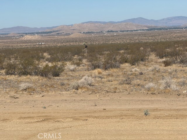 240 E Avenue N, Lancaster CA: https://media.crmls.org/medias/fa2d86ab-9720-4ac4-98bc-b5ef235f0f3c.jpg