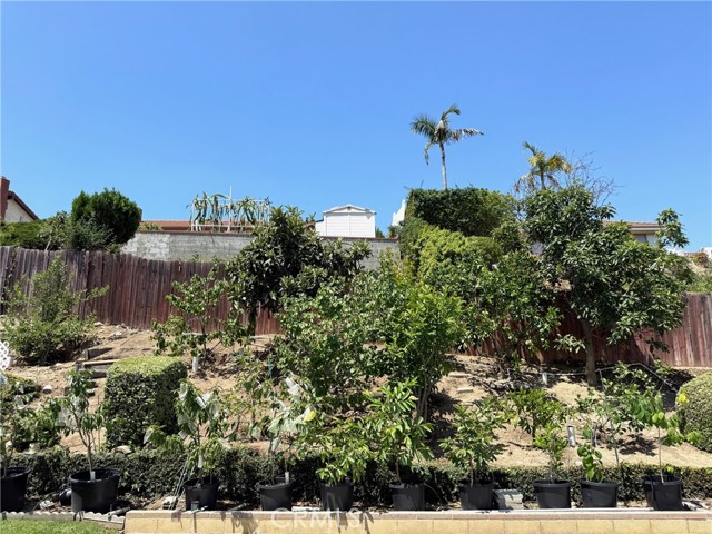 2227 Langspur Drive, Hacienda Heights CA: https://media.crmls.org/medias/fa314564-fe6c-4330-8a20-6e09613c999e.jpg