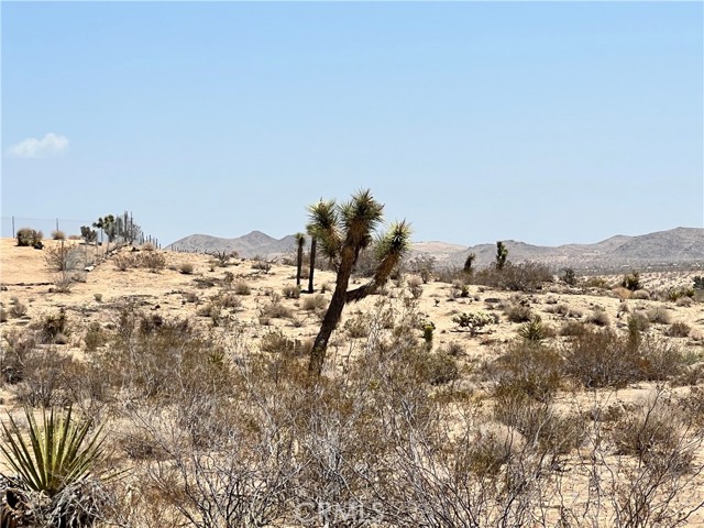 1 Old Woman Springs, Landers, CA, 92285 1 Old Woman Springs, Landers, CA, 92285