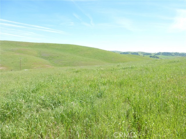 Detail Gallery Image 3 of 51 For 0 Douglas Rd. (Lot 33), San Miguel,  CA 93451 - – Beds | – Baths