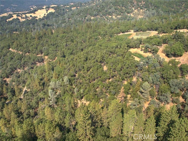 19316 Adamson, Grass Valley, CA, 95949 19316 Adamson, Grass Valley, CA, 95949