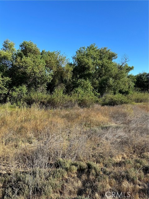0 Mazoe Street, Temecula CA: https://media.crmls.org/medias/fa5154ea-4d39-4a35-b282-158701f67d27.jpg