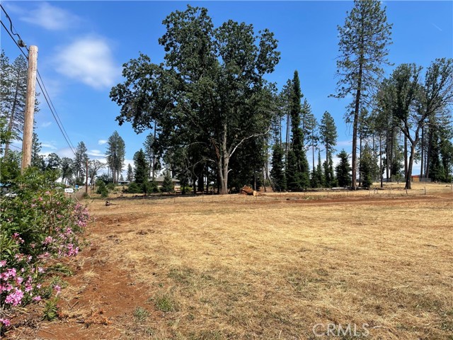 676 Meyers Lane, Paradise, California 95969, ,Land,For Sale,676 Meyers Lane,CRSN23106927