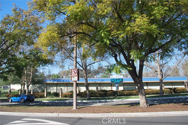 Image 68 of 71 For 8 Tanglewood