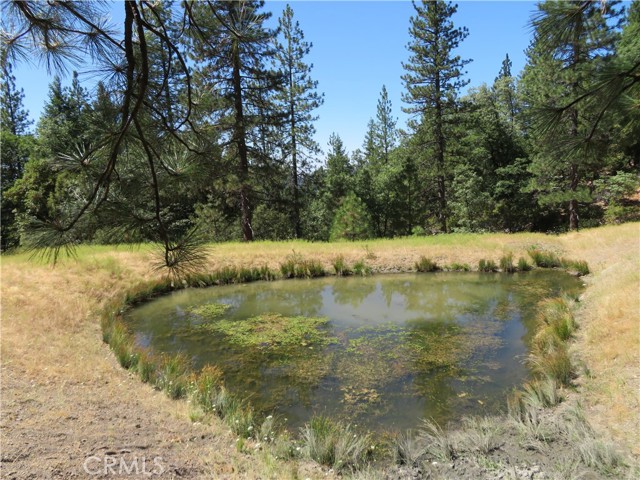 0 Barns Ranch Road, Covelo, California 95428, ,Land,For Sale,0 Barns Ranch Road,CRSN23031018