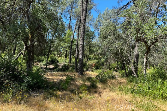 Detail Gallery Image 17 of 19 For 9200 Silver King Rd, Redding,  CA 96001 - – Beds | – Baths