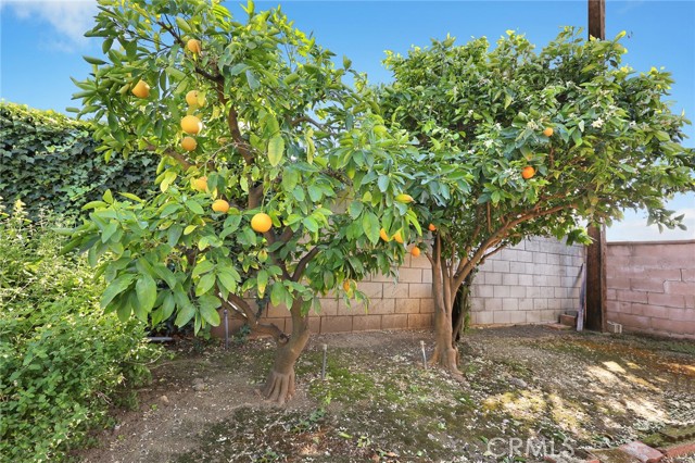 Detail Gallery Image 30 of 37 For 884 E Whitcomb Ave, Glendora,  CA 91741 - 3 Beds | 2 Baths