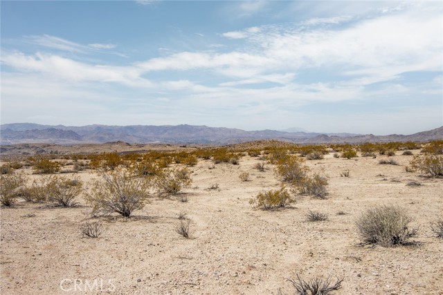 Detail Gallery Image 6 of 16 For 2649 Delaware Ave, Joshua Tree,  CA 92252 - – Beds | – Baths