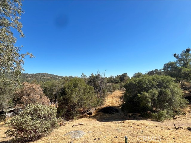 Detail Gallery Image 5 of 28 For 44786 Spring Hill Rd, Coarsegold,  CA 93614 - 3 Beds | 2 Baths