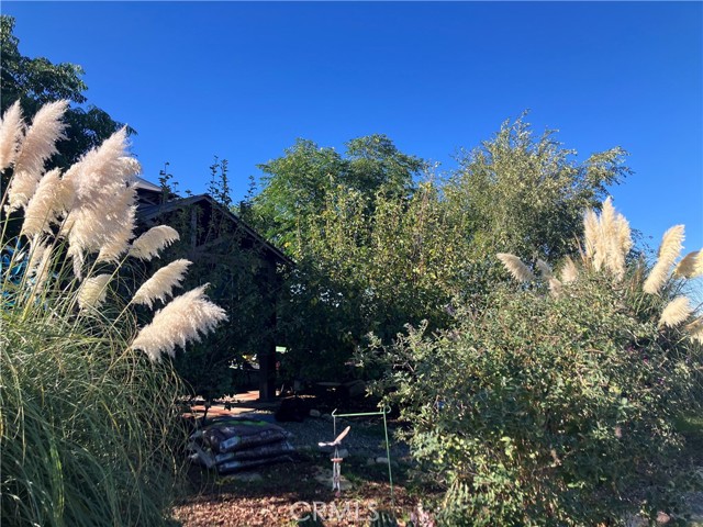 39550 S Kirby Road, Anza CA: https://media.crmls.org/medias/fa863920-7b6a-49f4-822a-79ec73cc30d3.jpg