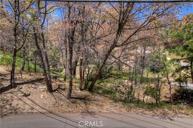 27998 W Shore Road, Lake Arrowhead, CA 92352 Listing Photo  9