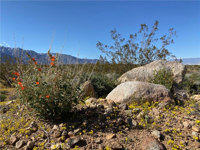Detail Gallery Image 52 of 61 For 330 Sage Flats Dr, Olancha,  CA 93549 - 3 Beds | 2 Baths