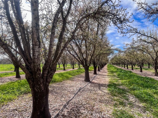 3271 Chico River Rd, Chico, CA, 95928 3271 Chico River Rd, Chico, CA, 95928