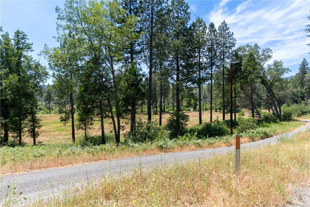 MLS #SN25260902 image #12