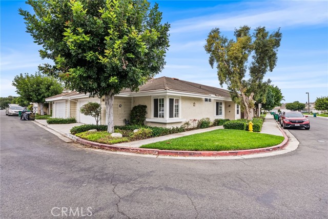 Front Image Thumbnail for CROC25226363