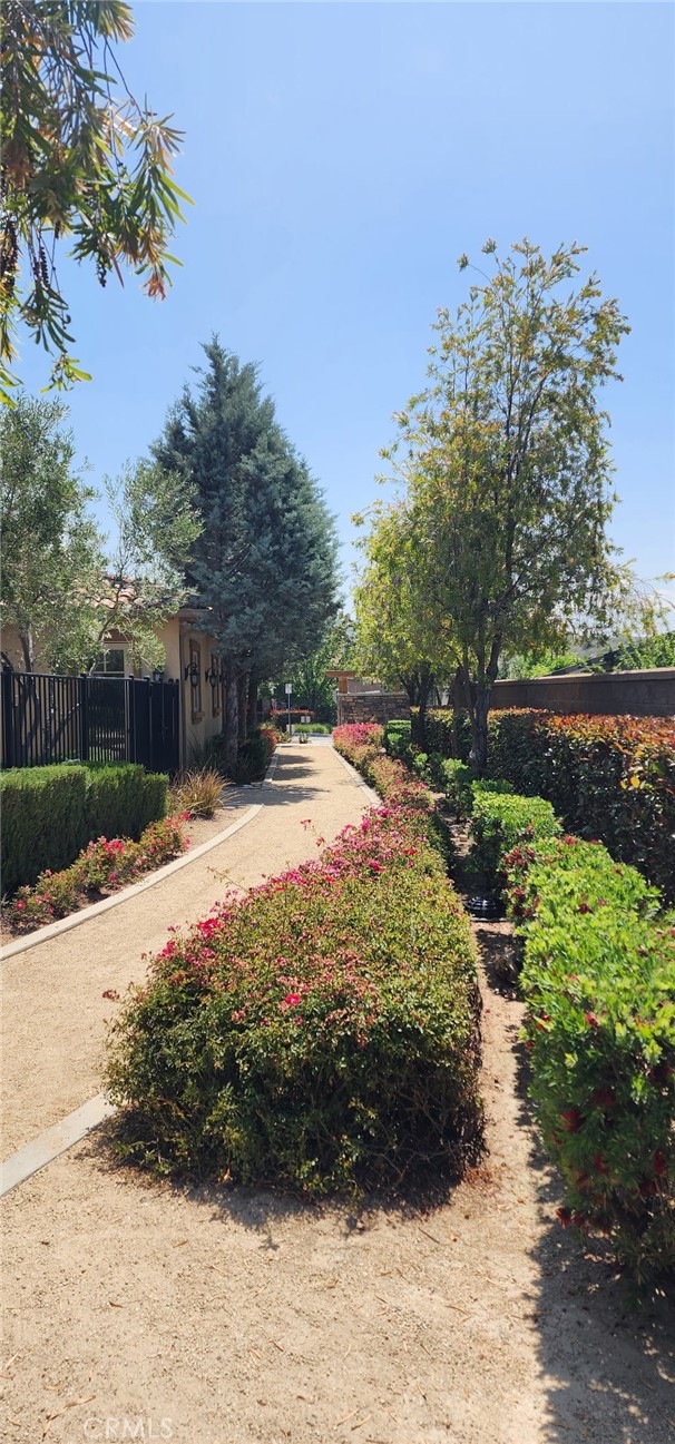 1334 Pinehurst Drive, Calimesa CA: https://media.crmls.org/medias/fa977c8e-969f-4f15-af21-9ce61ff8a1df.jpg
