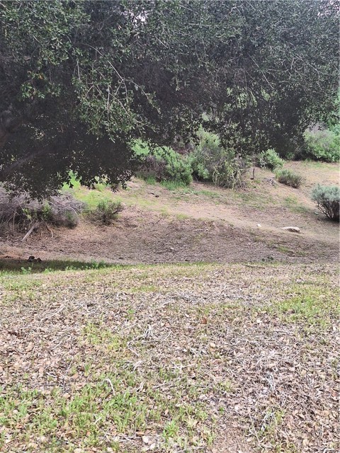 Front Image Thumbnail for CRSR26020778