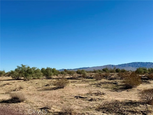 Detail Gallery Image 10 of 12 For 32467 Lakeview, Newberry Springs,  CA 92365 - – Beds | – Baths