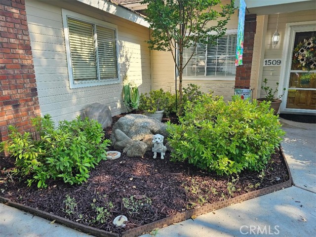 Detail Gallery Image 5 of 57 For 1509 Princeton Ave, Madera,  CA 93637 - 3 Beds | 1/1 Baths