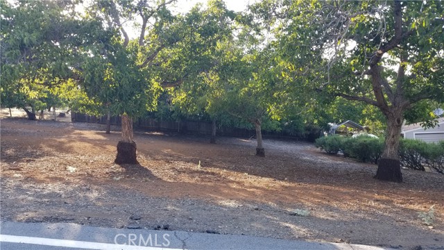 3185 Marina View Drive Kelseyville, California Come build your dream home in this dream community! This land lot has a great level to slight down slope making building a breeze. Enjoy the many mature, producing walnut trees providing great shade. Soils analysis has been done and is recorded with Environmental Health. Lot next door also for sale (3195 Marina View Dr), purchase both for an even lager lot. Great location, walking distance to pool and clubhouse. Very close to Clear Lake State Park. Riviera Heights Homeowner's Association offers so much for such a small HOA due including a picturesque member only pool, clubhouse with awe-inspiring views, and a private marina on Clear Lake.