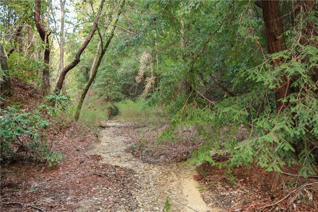 MLS #OC25221127 image #1