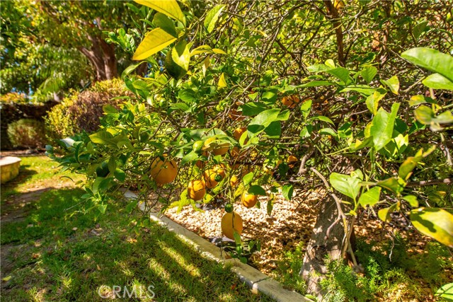 Detail Gallery Image 49 of 63 For 4304 Timberdale Rd, Moorpark,  CA 93021 - 4 Beds | 2/1 Baths