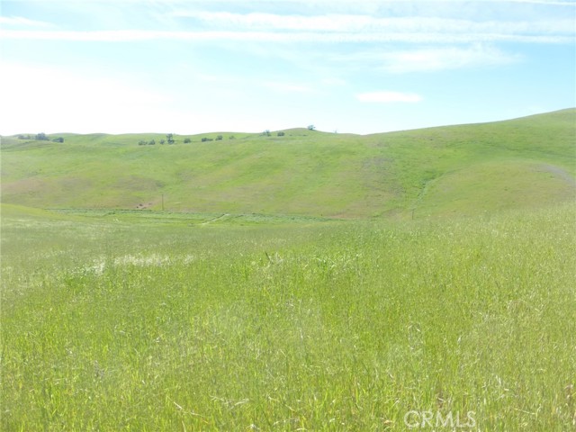 Detail Gallery Image 14 of 40 For 0 Douglas Rd. (Lot 43), San Miguel,  CA 93451 - – Beds | – Baths