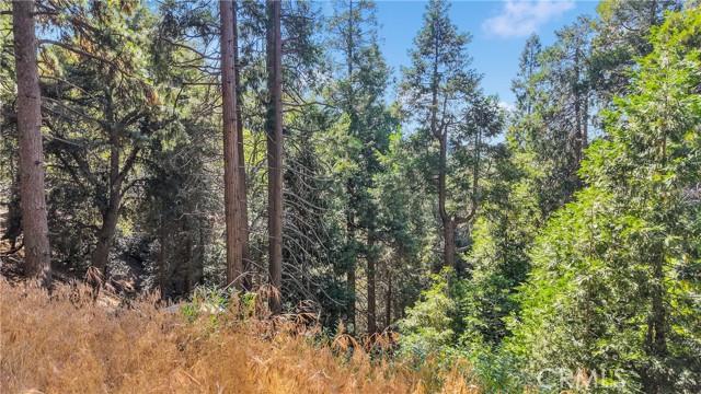 0 Mojave River Road, Cedarpines Park CA: https://media.crmls.org/medias/fac08eff-9146-4a59-9795-9798aea615f4.jpg