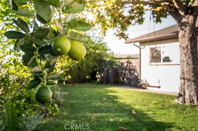 Detail Gallery Image 51 of 53 For 28068 Santona Dr, Rancho Palos Verdes,  CA 90275 - 5 Beds | 3 Baths
