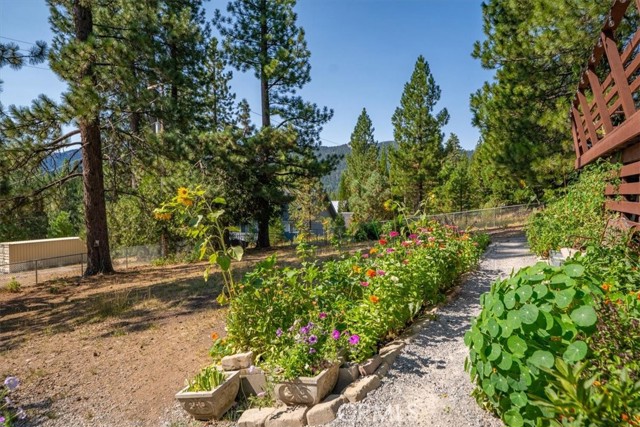 Detail Gallery Image 43 of 48 For 38249 Hampton Ave, Mineral,  CA 96063 - 2 Beds | 2 Baths