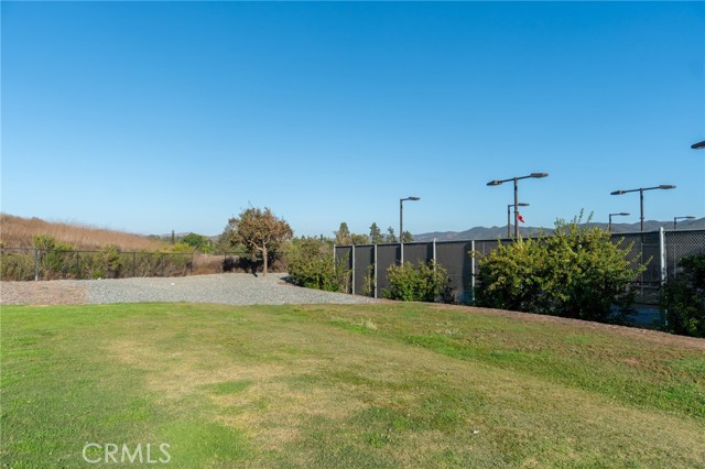 1485 Sappanwood photo 33