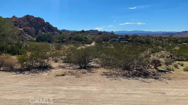 66058 Foothill Drive, Joshua Tree, California 92252, ,Land,For Sale,66058 Foothill Drive,CROC23216688