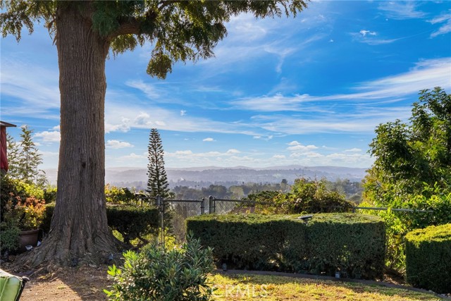 Image 36 of 70 For 24811 Spadra