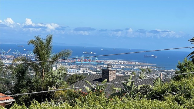 My cell phone pic.from 4/11/26.