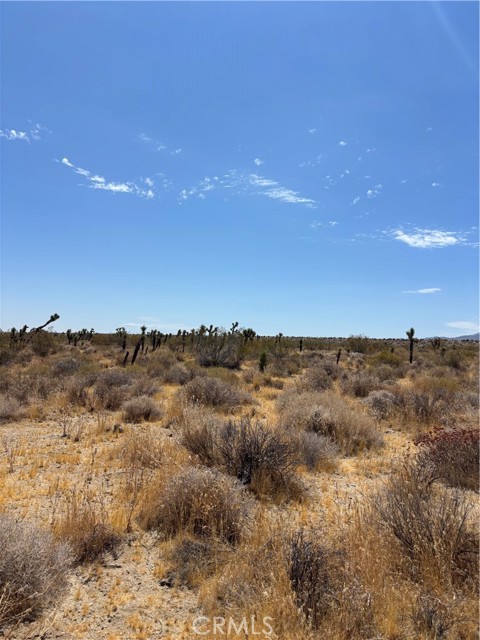  Land for Sale in Black Butte, California