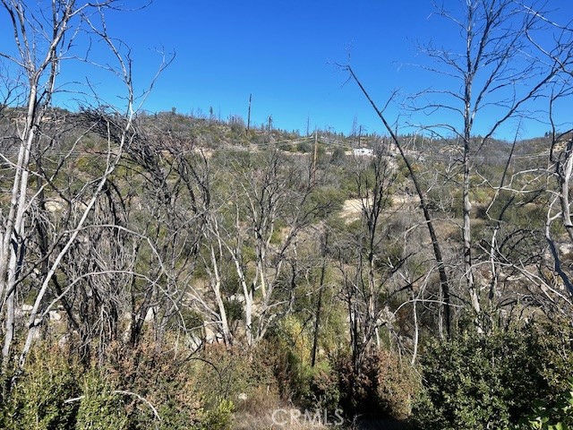 Detail Gallery Image 5 of 39 For 0 Craig Access, Feather Falls,  CA 95940 - – Beds | – Baths