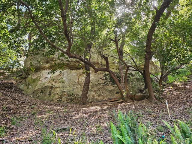 Detail Gallery Image 68 of 68 For 432 Fernwood Pacific, Topanga,  CA 90290 - 2 Beds | 2 Baths