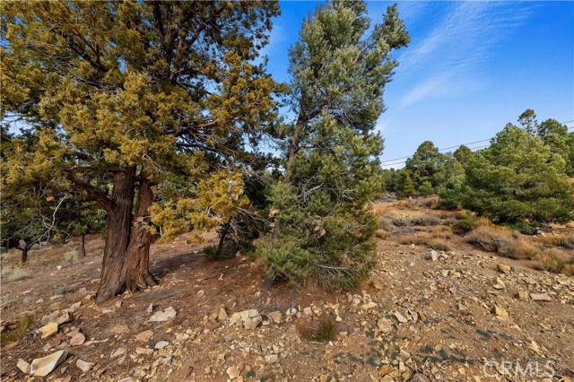 Detail Gallery Image 10 of 10 For 0 Sunny Slope Ln, Big Bear City,  CA 92314 - – Beds | – Baths