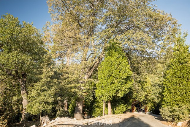 27492 Cedarwood Court, Lake Arrowhead CA: https://media.crmls.org/medias/fae244bf-5eb2-4923-80bd-bb46fa55b9e0.jpg