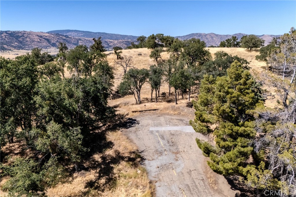 MLS #PI25150559 img 2