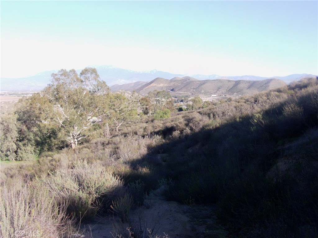 MLS #SW25274943 image #3