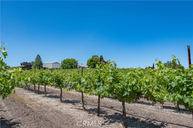 5302 El Pomar Drive, Templeton, CA, 93465 5302 El Pomar Drive, Templeton, CA, 93465