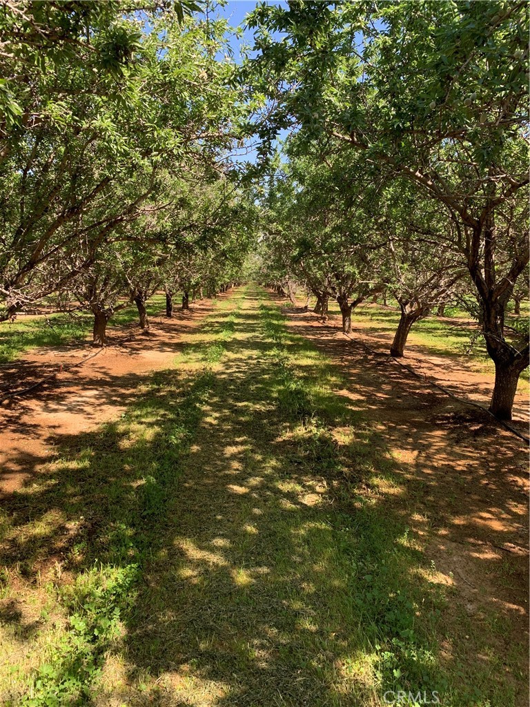 4400 Kopta, Corning, CA 96021