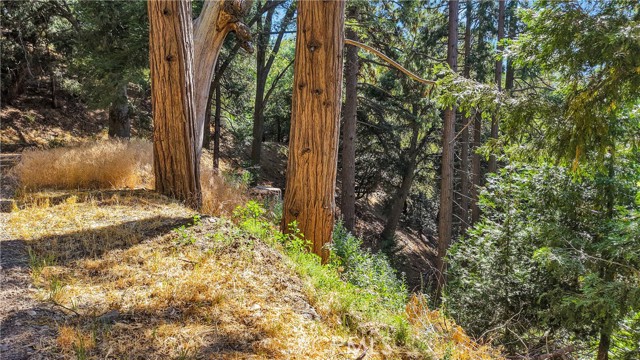 0 Mojave River Road, Cedarpines Park CA: https://media.crmls.org/medias/fafb9f2b-714b-4814-a763-7836c196e0a0.jpg