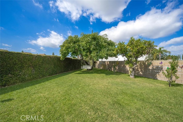 Durable block wall fence surrounding the yard with established greenery.